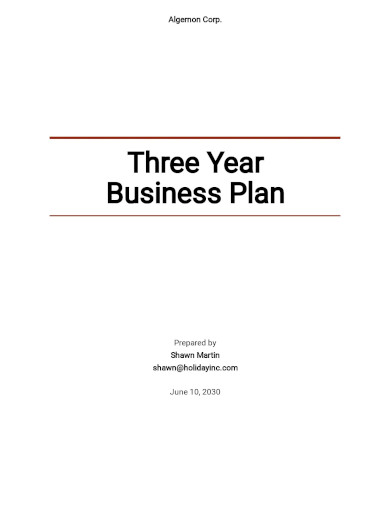 free simple 3 year business plan template