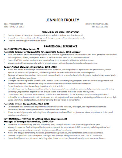 printable resume summary
