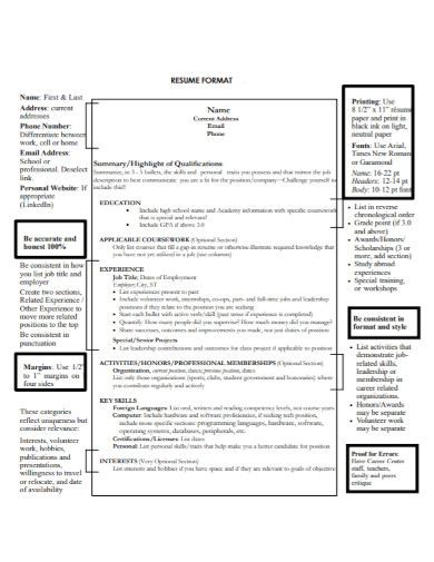 resume format and summary