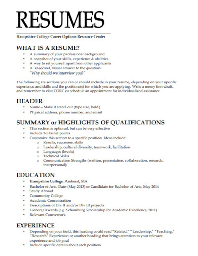 resume summary handout