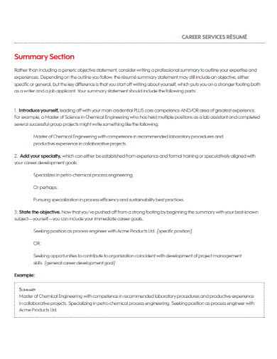 resume summary section