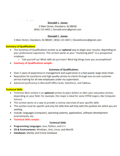resume summary template example