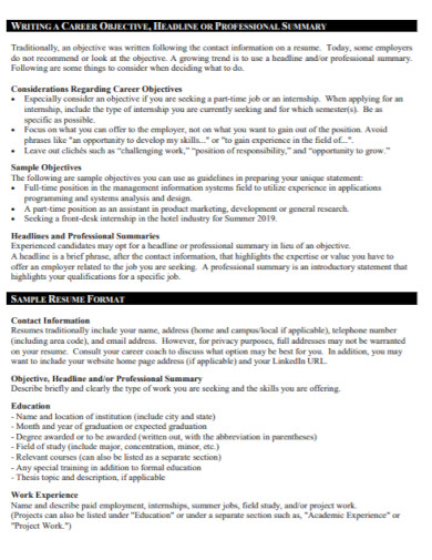 sample resume summary template