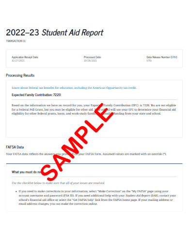 sample student aid report
