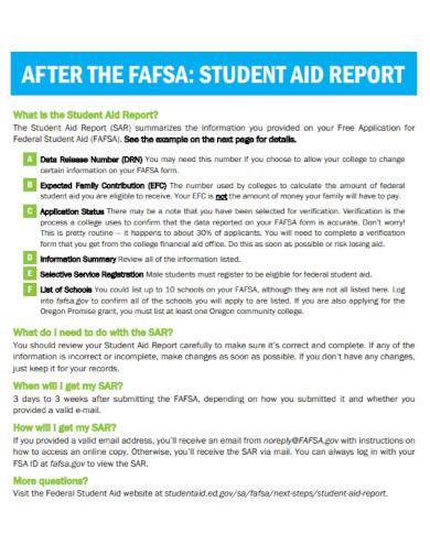 standard student aid report