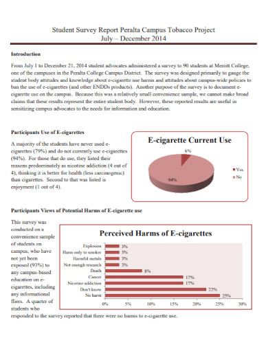 student survey report in pdf