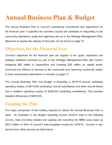annual business plan and budget