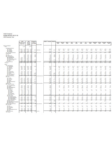company annual budget in pdf