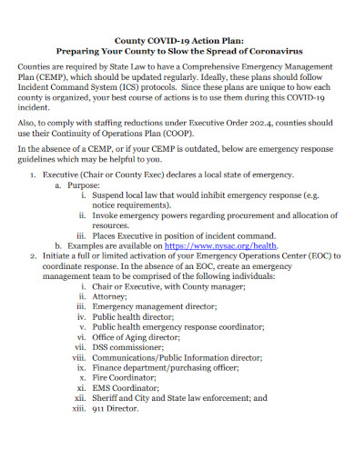 county coronavirus covid 19 action plan