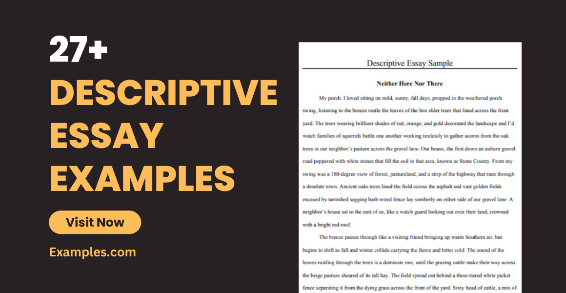 descriptive essay examples
