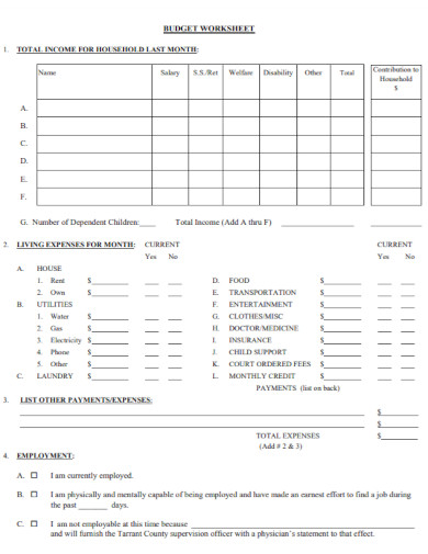 income budget worksheet form