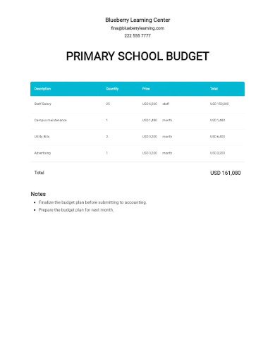 primary school budget template
