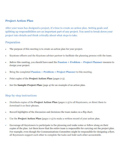 project action plan example