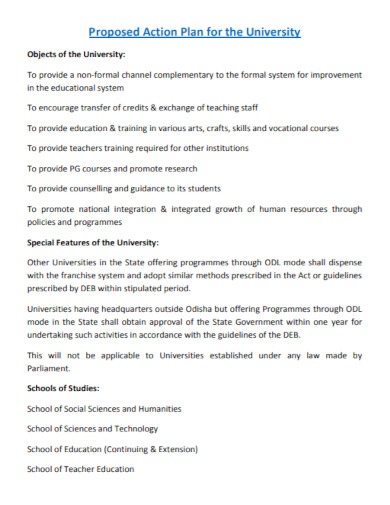 proposed action plan for the university