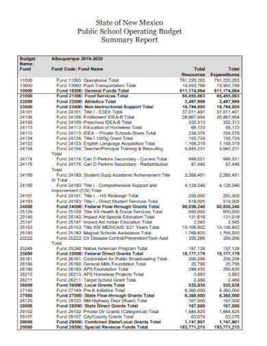 school operating budget report