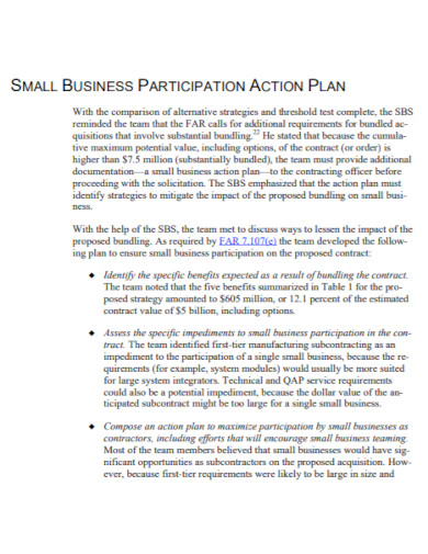 small business participation action plan