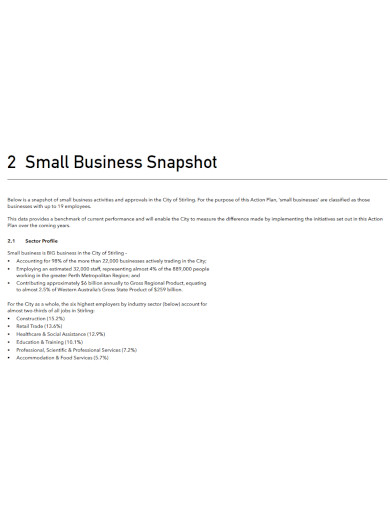 small business project action plan