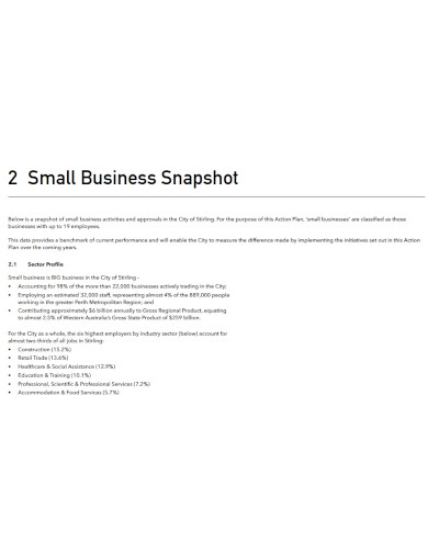 Small Business Action Plan - 10+ Examples, Format, Pdf | Examples