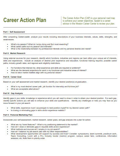 standard career action plan
