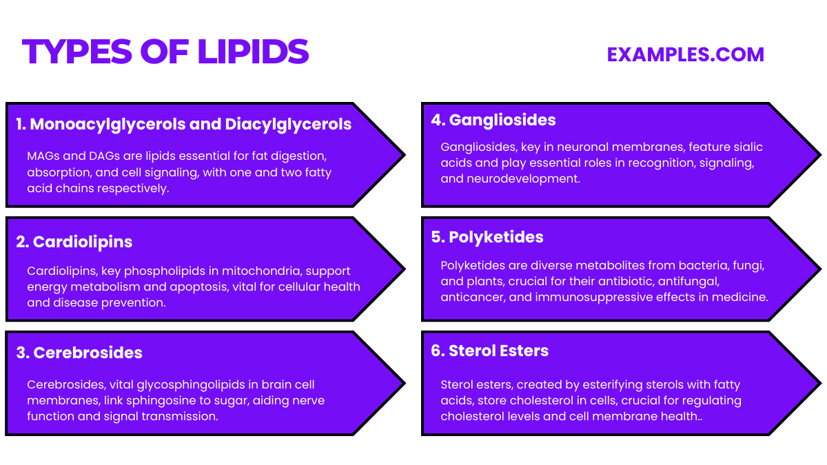 types of lipids
