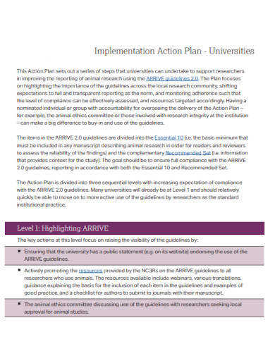 universities implementation action plan
