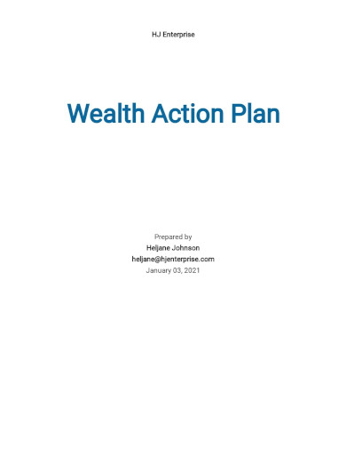 wealth action plan template