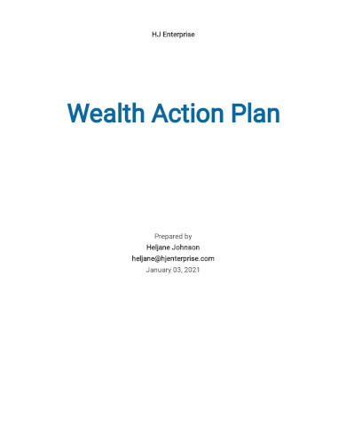 Wealth Action Plan Template