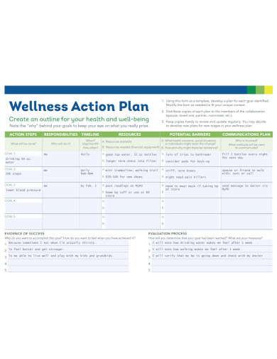 wellness action plan example