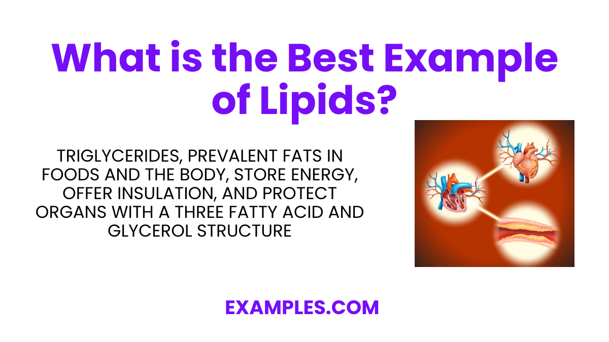 Lipids 20 Examples Format How To Reduce Pdf