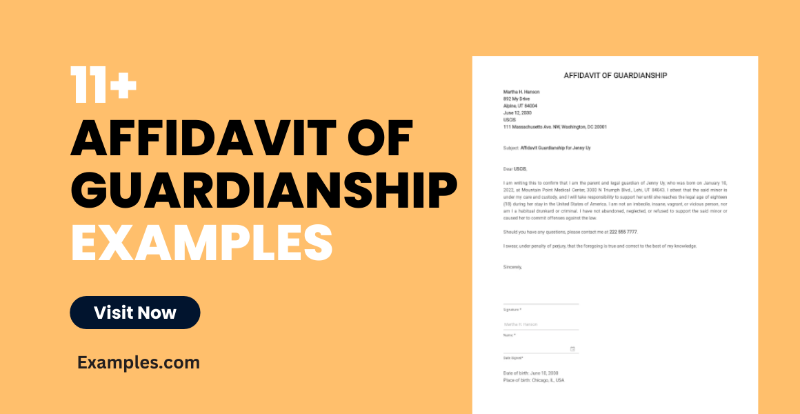 affidavit of guardianship examples