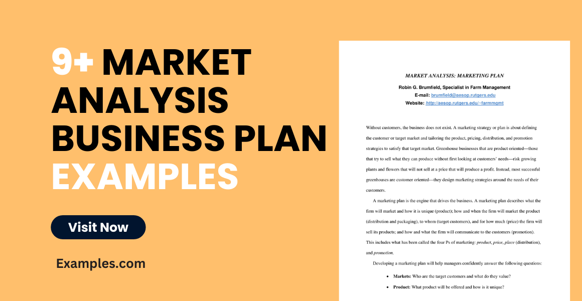 market analysis business plan examples