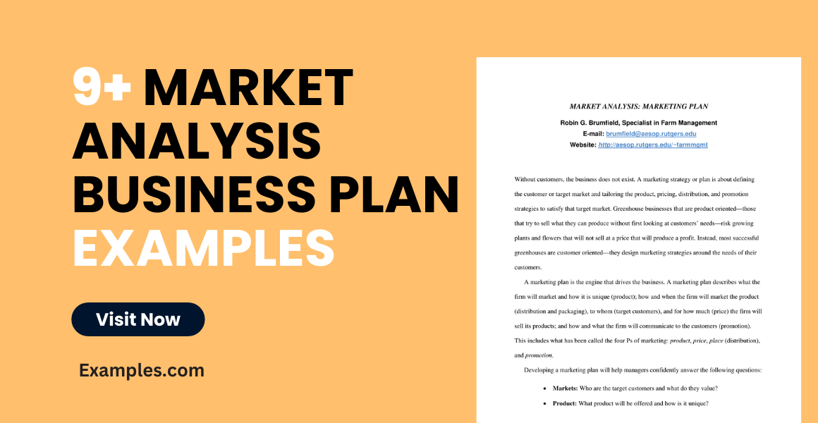 business plan the market example