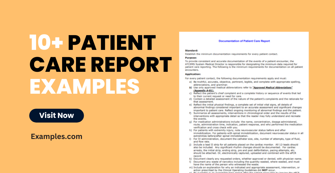Patient Care Report Examples