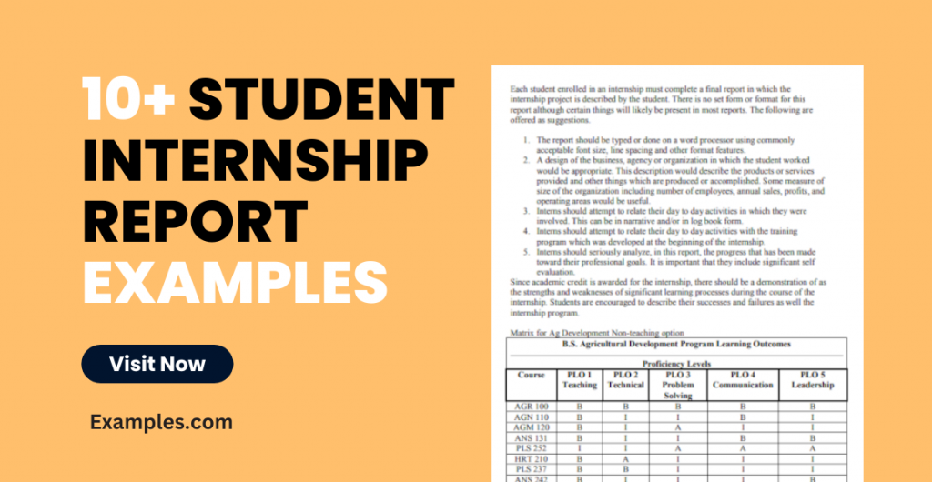 Student Internship Report Examples