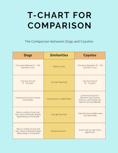 T Chart for Comparison