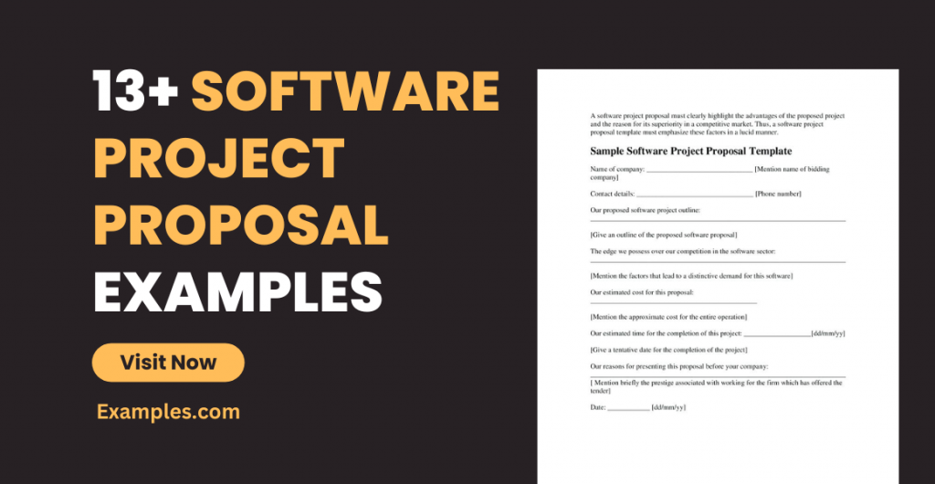 Software Project Proposal Examples