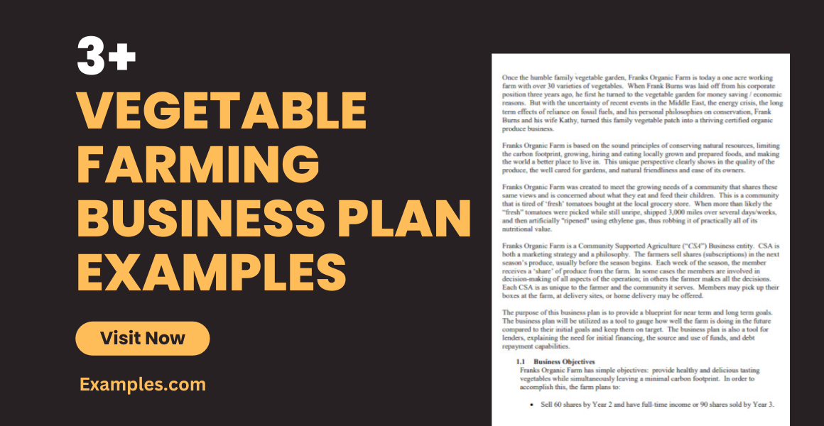 vegetable farming business plan examples