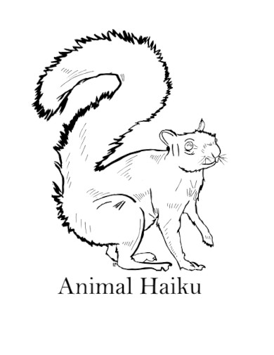 animal haiku