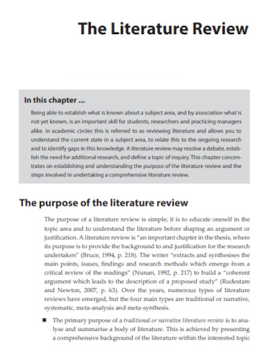 example of literature review business