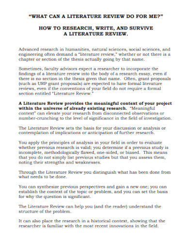 literature review format
