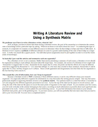 literature review pdf