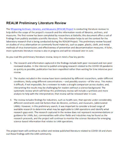 preliminary literature review