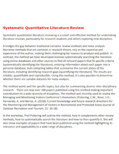 quantitative literature review