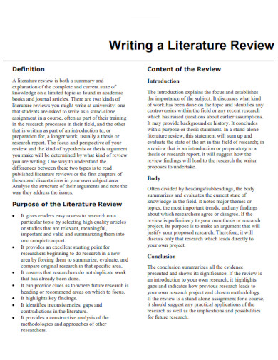 student literature review