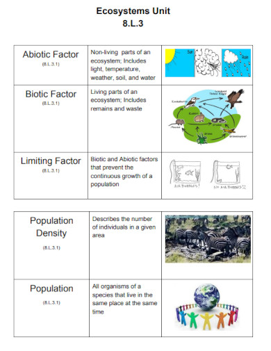 abiotic factors ecosystems unit