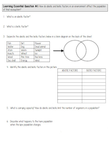 abiotic factors worksheet in pdf example