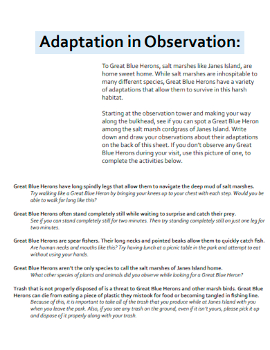 adaptation in observation