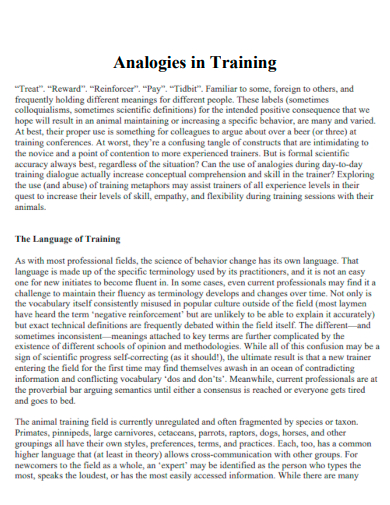analogies in training