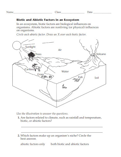 biotic and abiotic factors in ecosystem