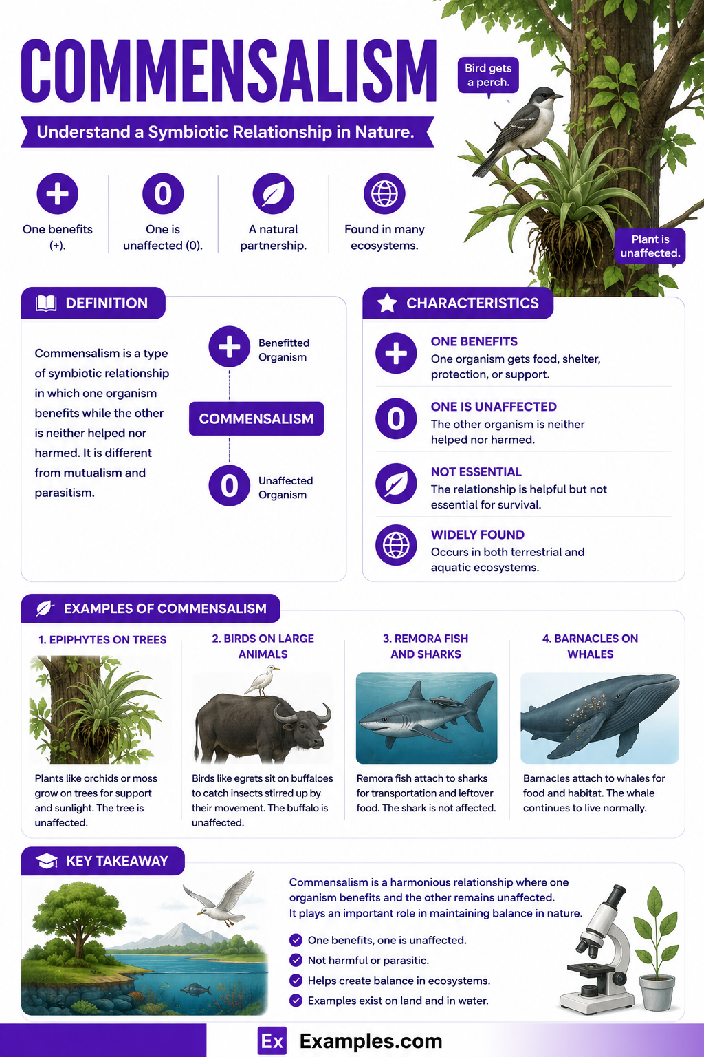 Commensalism